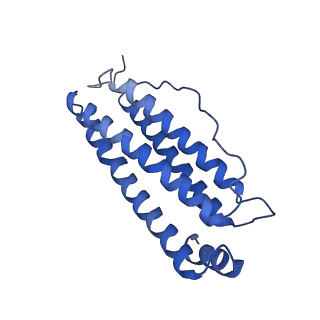 6830_5yi5_E_v1-3
human ferritin mutant - E-helix deletion