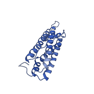 6830_5yi5_F_v1-3
human ferritin mutant - E-helix deletion