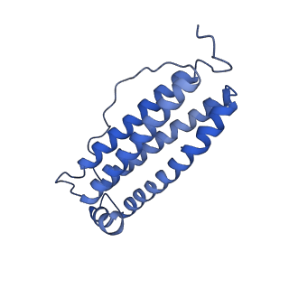 6830_5yi5_G_v1-3
human ferritin mutant - E-helix deletion