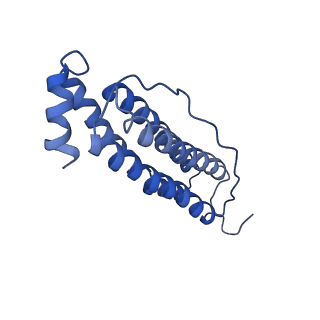 6830_5yi5_I_v1-3
human ferritin mutant - E-helix deletion