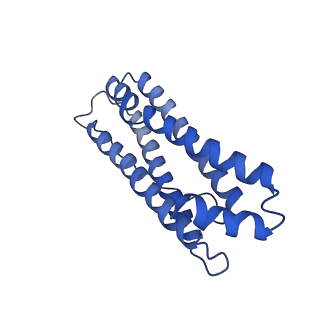 6830_5yi5_L_v1-3
human ferritin mutant - E-helix deletion