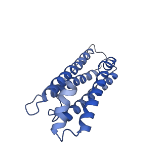 6830_5yi5_N_v1-3
human ferritin mutant - E-helix deletion