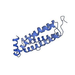 6830_5yi5_O_v1-3
human ferritin mutant - E-helix deletion