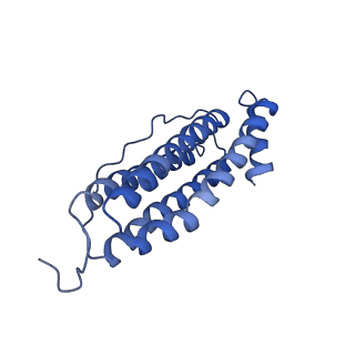 6830_5yi5_P_v1-3
human ferritin mutant - E-helix deletion