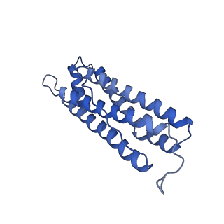 6830_5yi5_Q_v1-3
human ferritin mutant - E-helix deletion