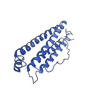 6830_5yi5_R_v1-3
human ferritin mutant - E-helix deletion