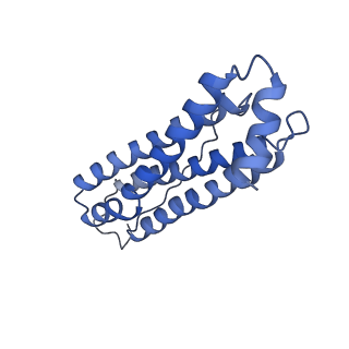 6830_5yi5_S_v1-3
human ferritin mutant - E-helix deletion