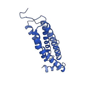 6830_5yi5_U_v1-3
human ferritin mutant - E-helix deletion