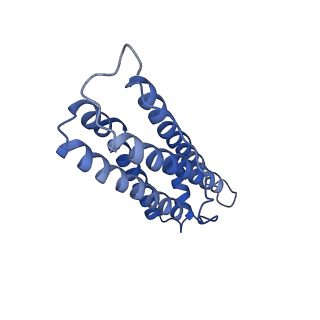 6830_5yi5_V_v1-3
human ferritin mutant - E-helix deletion