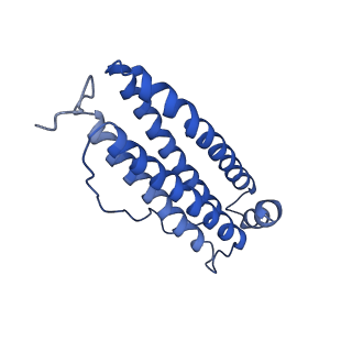 6830_5yi5_W_v1-3
human ferritin mutant - E-helix deletion