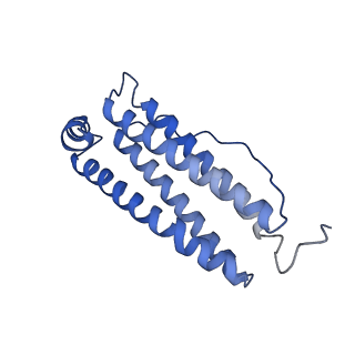 6830_5yi5_X_v1-3
human ferritin mutant - E-helix deletion