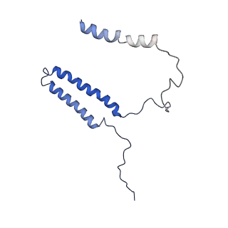 10815_6yj4_A_v1-4
Structure of Yarrowia lipolytica complex I at 2.7 A
