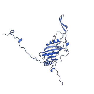 10815_6yj4_C_v1-4
Structure of Yarrowia lipolytica complex I at 2.7 A