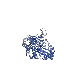 10815_6yj4_D_v1-4
Structure of Yarrowia lipolytica complex I at 2.7 A