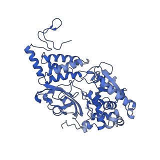 10815_6yj4_F_v1-4
Structure of Yarrowia lipolytica complex I at 2.7 A