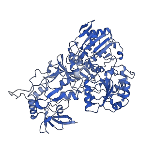 10815_6yj4_G_v1-4
Structure of Yarrowia lipolytica complex I at 2.7 A
