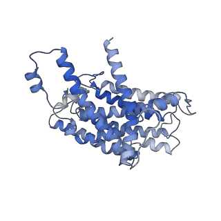 10815_6yj4_H_v1-4
Structure of Yarrowia lipolytica complex I at 2.7 A
