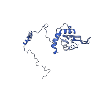 10815_6yj4_I_v1-4
Structure of Yarrowia lipolytica complex I at 2.7 A