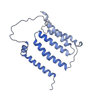 10815_6yj4_J_v1-4
Structure of Yarrowia lipolytica complex I at 2.7 A