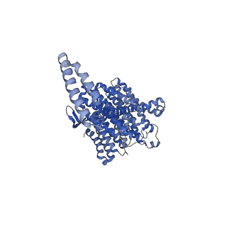 10815_6yj4_L_v1-4
Structure of Yarrowia lipolytica complex I at 2.7 A