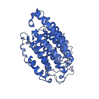 10815_6yj4_N_v1-4
Structure of Yarrowia lipolytica complex I at 2.7 A