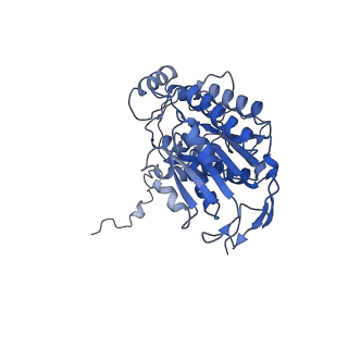 10815_6yj4_P_v1-4
Structure of Yarrowia lipolytica complex I at 2.7 A