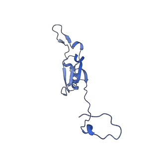 10815_6yj4_Q_v1-4
Structure of Yarrowia lipolytica complex I at 2.7 A