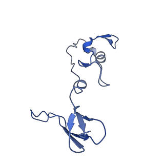 10815_6yj4_R_v1-4
Structure of Yarrowia lipolytica complex I at 2.7 A