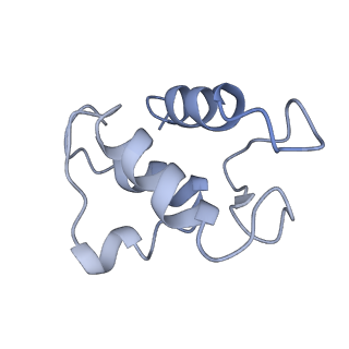 10815_6yj4_T_v1-4
Structure of Yarrowia lipolytica complex I at 2.7 A