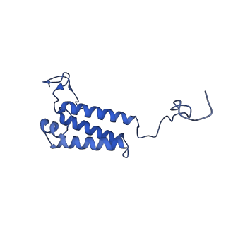 10815_6yj4_V_v1-4
Structure of Yarrowia lipolytica complex I at 2.7 A