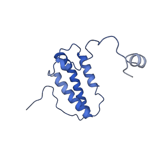 10815_6yj4_W_v1-4
Structure of Yarrowia lipolytica complex I at 2.7 A
