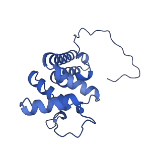 10815_6yj4_X_v1-4
Structure of Yarrowia lipolytica complex I at 2.7 A
