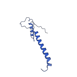 10815_6yj4_a_v1-4
Structure of Yarrowia lipolytica complex I at 2.7 A