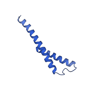 10815_6yj4_d_v1-4
Structure of Yarrowia lipolytica complex I at 2.7 A