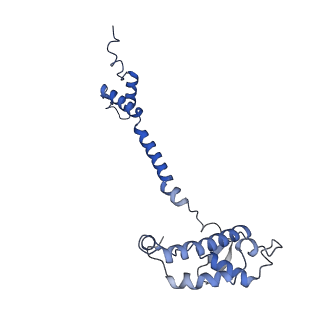 10815_6yj4_g_v1-4
Structure of Yarrowia lipolytica complex I at 2.7 A