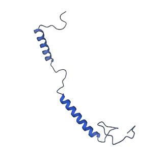 10815_6yj4_i_v1-4
Structure of Yarrowia lipolytica complex I at 2.7 A