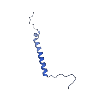 10815_6yj4_j_v1-4
Structure of Yarrowia lipolytica complex I at 2.7 A