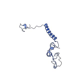 10815_6yj4_l_v1-4
Structure of Yarrowia lipolytica complex I at 2.7 A