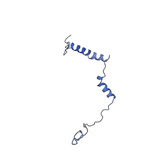 10815_6yj4_m_v1-4
Structure of Yarrowia lipolytica complex I at 2.7 A