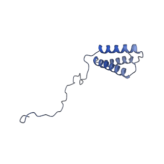 10815_6yj4_n_v1-4
Structure of Yarrowia lipolytica complex I at 2.7 A