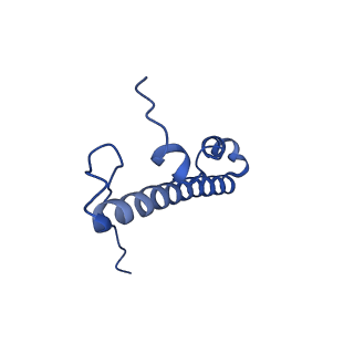 10815_6yj4_p_v1-4
Structure of Yarrowia lipolytica complex I at 2.7 A
