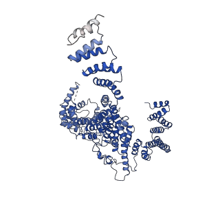 10817_6yj6_A_v1-1
Structure of the TFIIIC subcomplex tauA