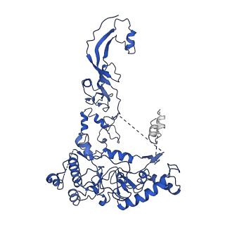 10817_6yj6_B_v1-1
Structure of the TFIIIC subcomplex tauA