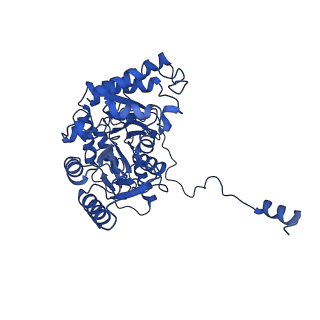 33868_7yj1_A_v1-1
Cryo-EM structure of SPT-ORMDL3 (ORMDL3-deltaN2) complex