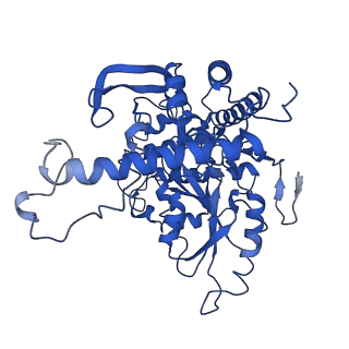33868_7yj1_B_v1-0
Cryo-EM structure of SPT-ORMDL3 (ORMDL3-deltaN2) complex
