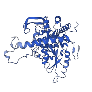 33868_7yj1_B_v1-1
Cryo-EM structure of SPT-ORMDL3 (ORMDL3-deltaN2) complex