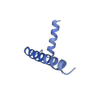 33868_7yj1_C_v1-1
Cryo-EM structure of SPT-ORMDL3 (ORMDL3-deltaN2) complex