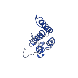 33868_7yj1_D_v1-1
Cryo-EM structure of SPT-ORMDL3 (ORMDL3-deltaN2) complex