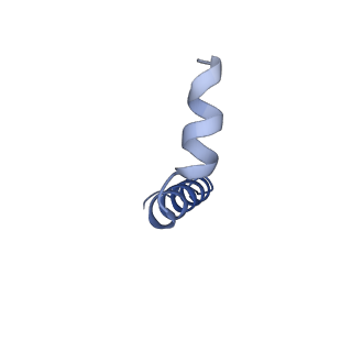 33868_7yj1_E_v1-1
Cryo-EM structure of SPT-ORMDL3 (ORMDL3-deltaN2) complex