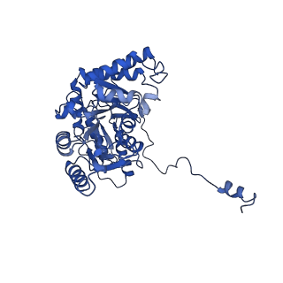 33869_7yj2_A_v1-1
Cryo-EM structure of SPT-ORMDL3 (ORMDL3-N13A) complex